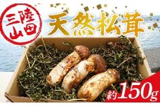 ≪2025年先行予約 9月中旬～10月下旬発送予定！≫ 大福丸の三陸山田産天然松茸 約150g【配送日指定不可】【沖縄・離島配送不可】 三陸山田 山田町 三陸産 野菜 きのこ YD-894