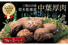 三陸山田産　原木乾椎茸「中葉厚肉」 三陸山田 山田町 野菜 きのこ きのこ名人 農林水産大臣賞 匠 YD-455