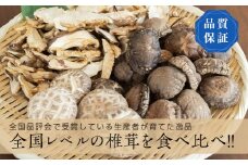 乾燥しいたけいろいろセット【配送日指定不可】  YD-459