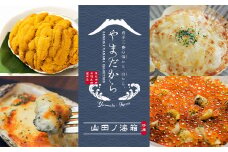 やまだから 山田ノ海箱 (冷凍)【配送日指定不可】 三陸山田 海産物 海産品 ほたて かき うに いくら グラタン 海童漬け 詰合せ セット YD-860