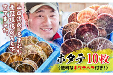 明神丸かき・ほたてきちのホタテ（大）10枚セット【配送日指定不可】 三陸山田 山田町 山田湾 海産品 帆立 ほたて ホタテ YD-494