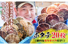明神丸かき・ほたてきちのホタテ（大）20枚セット【配送日指定不可】 三陸山田 山田町 山田湾 海産品 帆立 ほたて ホタテ  YD-495