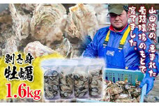 明神丸かき・ほたてきちの 剥き身牡蠣400g×4パック（1.6㎏）セット  【配送日指定不可】【沖縄・離島配送不可】 三陸山田 海産品 海産物 かき シーフード YD-497