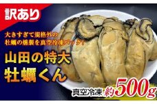 【訳あり】山田の特大牡蠣くん 約500g  YD-535