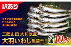 【訳あり】大和水産の大羽いわし（魚醤干し）10本 マイワシ まいわし  YD-830