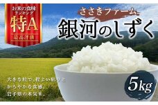 ささきファームの令和6年産 銀河のしずく 5kg【配送日指定不可】三陸山田 山田町 お米 白米 精米 農産品 農家 YD-758