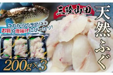 三陸山田の天然ふぐ 600g【配送日指定不可】  YD-572