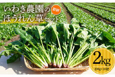 いわき農園の新鮮ほうれん草セット 2kg ホウレンソウ 野菜  YD-609