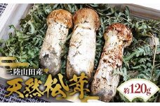 ≪2025年先行予約 9月中旬～10月下旬発送予定！≫「茸の匠」が採る 三陸山田産松茸約120g【芳賀榮三きのこ園】岩手県山田町 山田町 まつたけ きのこ名人 野菜 山田産野菜 秋の味覚【配送日指定不可】 YD-884