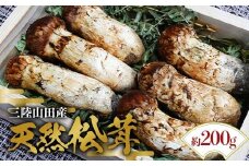 ≪2025年先行予約 9月中旬～10月下旬発送予定！≫「茸の匠」が採る 三陸山田産松茸約200g【芳賀榮三きのこ園】岩手県山田町 山田町 まつたけ きのこ名人 野菜 山田産野菜 秋の味覚 【配送日指定不可】 YD-885