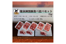 龍泉洞黒豚食べ比べセット8点【1401810】