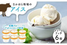 なかほら牧場 アイスクリーム《クリームリッチ》6個セット【1407082】