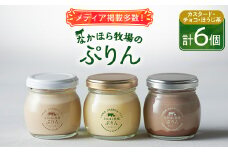 なかほら牧場のぷりん6個セット(カスタード/チョコ/ほうじ茶)【1407879】