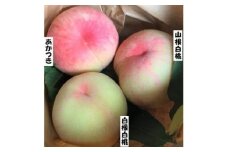 岩手県岩泉町産＜桃 2品種食べくらべ♪＞3キロ(大玉6個、中玉2個)生産者直送!【1411566】