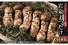 岩泉まつたけ 300g【1421529】