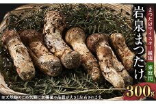 ＜自家用＞岩泉まつたけ 300g【1421549】