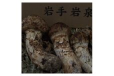 岩泉産朝採り松茸300g【1422859】