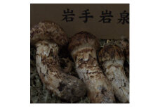 岩泉産朝採り松茸300g【1422859】