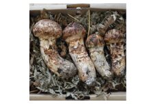 岩泉産朝採り松茸400g【1422877】