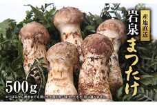 岩泉まつたけ 直送 500g【1423376】