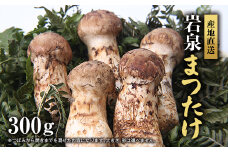 岩泉まつたけ 直送 300g【1423380】