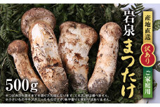 ＜訳あり＞ご家庭用 岩泉まつたけ 直送 500g【1423397】