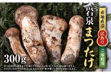 ＜訳あり＞ご家庭用 岩泉まつたけ 直送 300g【1423400】