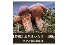 ≪特選≫　岩泉まつたけ  400g　天然【1423706】