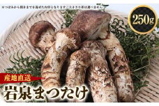 ≪産地直送≫　岩泉まつたけ 250g【1423712】