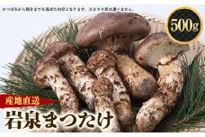 ≪産地直送≫　岩泉まつたけ  500g【1423715】
