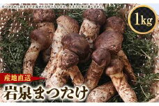 ≪産地直送≫　岩泉まつたけ  1kg【1423716】
