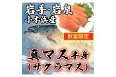 三陸小本産 天然真マス(サクラマス)半身【1427514】
