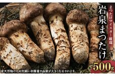 岩泉まつたけ 500g【1421537】