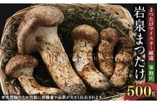 ＜自家用＞岩泉まつたけ 500g【1421552】