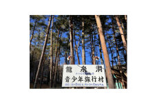 岩手県岩泉町　龍泉洞旅行村フリーサイトで野営を楽しめるキャンプ場「キャンプ場利用券(テント1張分)」【1499671】