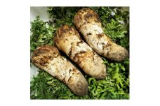 岩手県岩泉産松茸 200g前後(150g～250g)詰め合わせ【1515053】