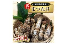 家庭用(訳あり)岩泉産まつたけ　300g【1515938】