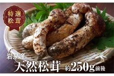＜2025年9月中旬～10月中旬発送予定＞松茸マイスター厳選!旬の岩泉産松茸　250g(前後)【1516081】