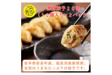 ＜岩泉黒豚 和み餃子＞岩手県岩泉町産 龍泉洞黒豚使用の手包み餃子 20個【1540553】