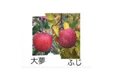 岩手県岩泉町産りんご 2品種食べくらべ!＜サンふじ・おおゆめ＞(1.5キロ:約4個)【1542938】