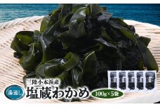 三陸小本浜産湯通し塩蔵わかめ 100g×5袋【1568471】