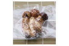 岩手県岩泉町産 冷凍岩泉まつたけ　100g×1パック【1604734】