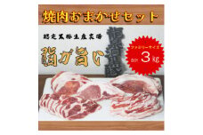 龍泉洞黒豚おまかせ焼肉セット　3kg(3000g)【1618820】
