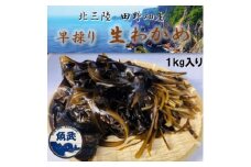 ＜期間限定＞早採り生わかめ 1kg【1482533】