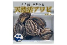 貝の王様!＜北三陸田野畑産＞天然活アワビ　約500g【1512890】