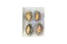 ＜訳あり＞岩手県産天然アワビ　約500g【1513054】