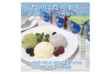 たのはたアイスクリームセット! 　バニラ・りんご・ごま・抹茶4種類(NTK-5)【1518188】