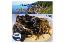 ＜期間限定＞早採り生わかめ 500g【1540789】