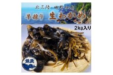 ＜期間限定＞早採り生わかめ 2kg【1541215】