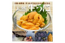 ＜令和7年6月～順次発送＞断崖と荒波で育つ　岩手・北三陸たのはた　瓶入り生うに(約200g入り1本)【1550253】